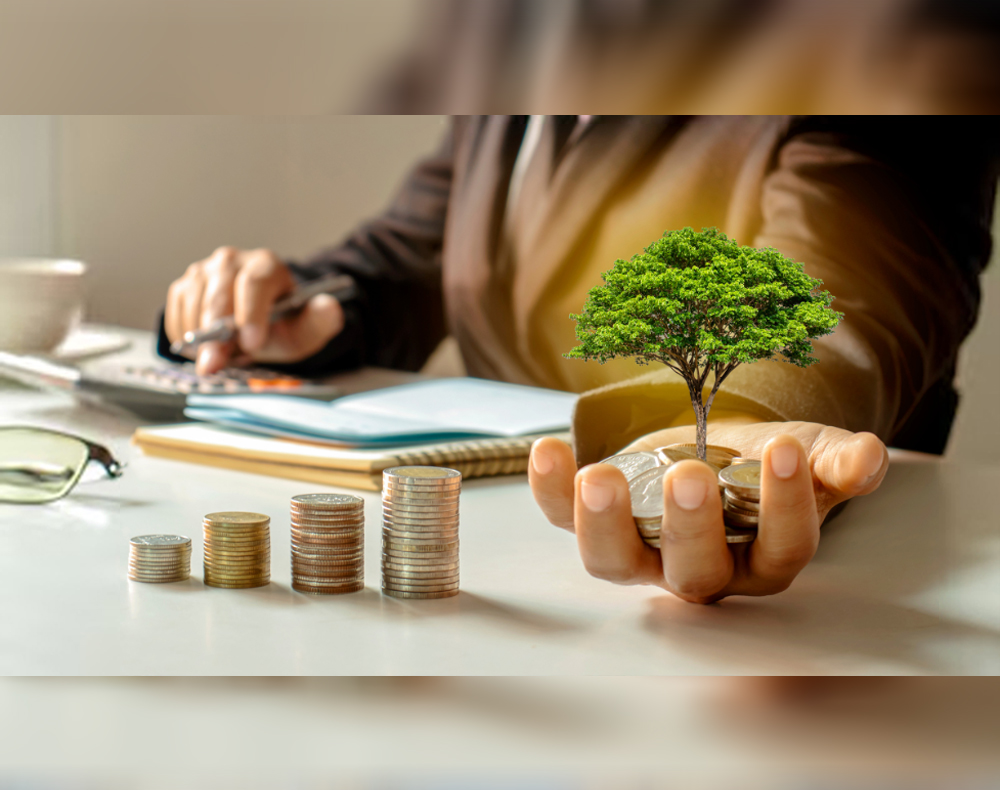 NEWS18 – Multi-Cap Vs Flexi-Cap Funds: Choosing the Right Fit for Your Portfolio