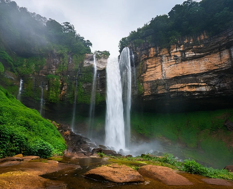 Northeast Odyssey - Assam & Meghalaya