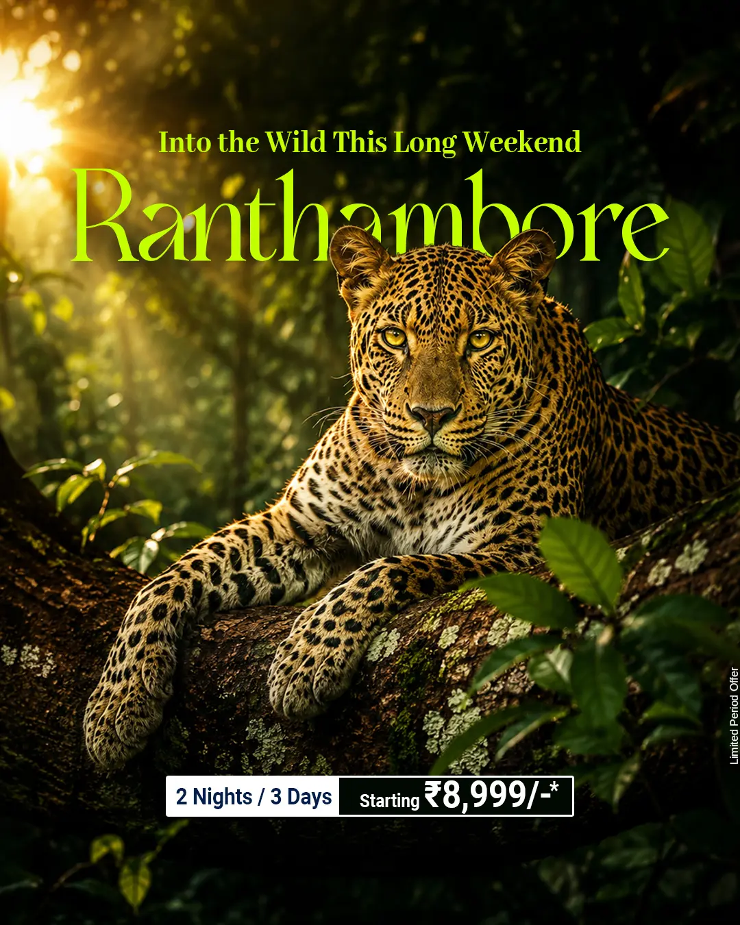 Ranthambore