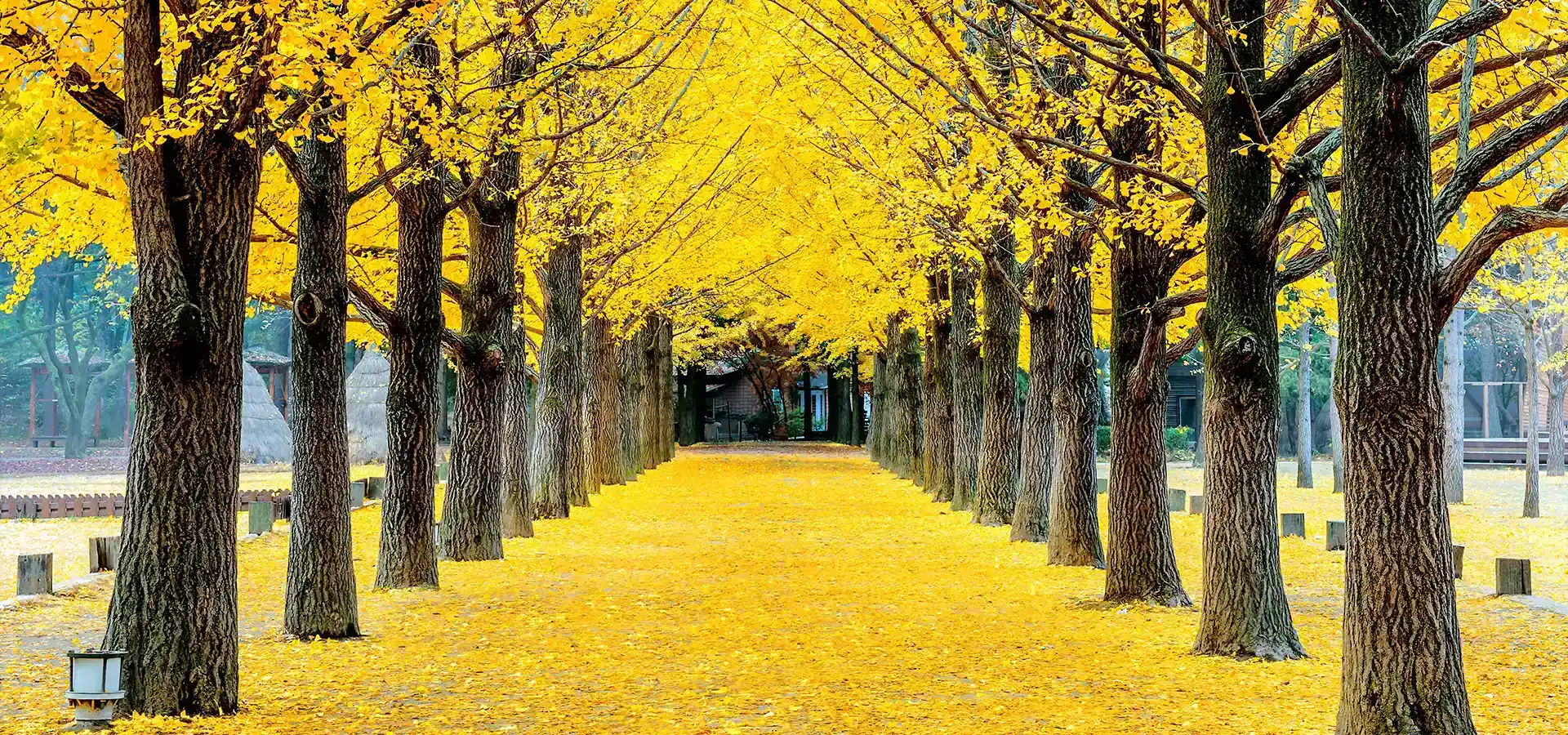 Nami Island