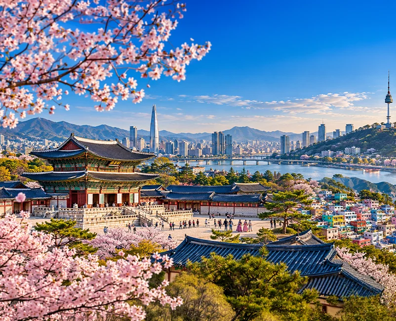 South Korea Travel Guide